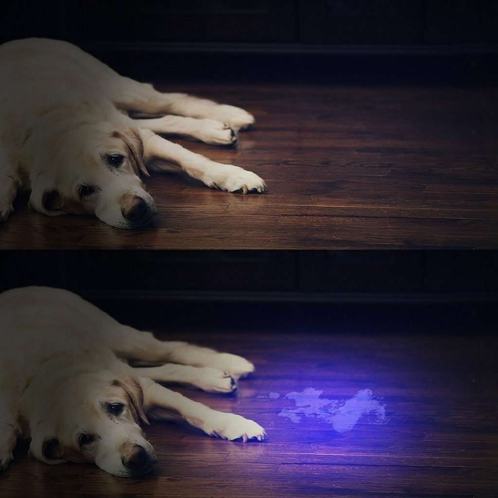 Vansky 51 LED Ultraviolet Blacklight Pet Urine Detector