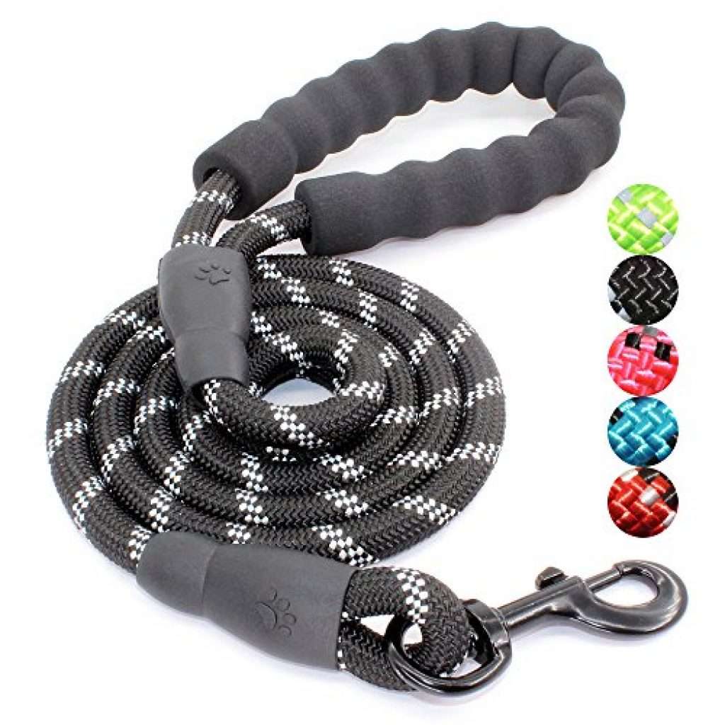 BAAPET Strong Dog Leash with Comfortable Padded Handle