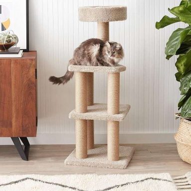 AmazonBasics Large Cat Condo Tree Tower with Scratching Post