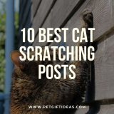10 Best Cat Scratching Posts