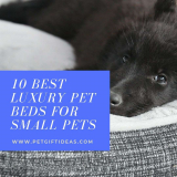 10 Best Luxury Pet Beds for Small Pets