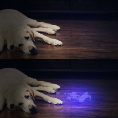 Vansky 51 LED Ultraviolet Blacklight Pet Urine Detector