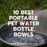 10 Best Portable Pet Water Bottle Bowls