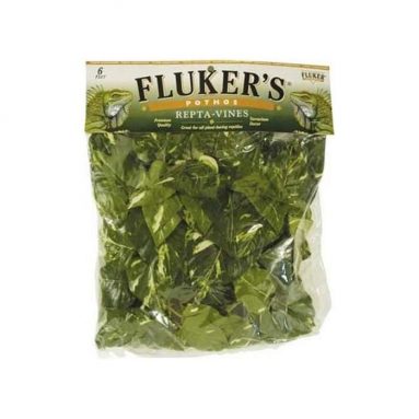 Fluker’s Repta Vines-Pothos for Reptiles and Amphibians