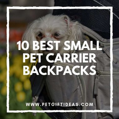 10 Best Small Pet Carrier Backpacks