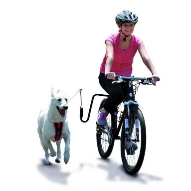 Springer Dog Exerciser, Biking with your Dog
