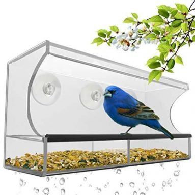 Best Window Bird Feeder with Strong Suction Cups & Seed Tray