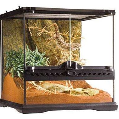 Exo Terra Glass Reptile Terrarium 12 inches