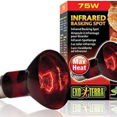 Exo Terra HeatGlo Infrared Spot Lamp