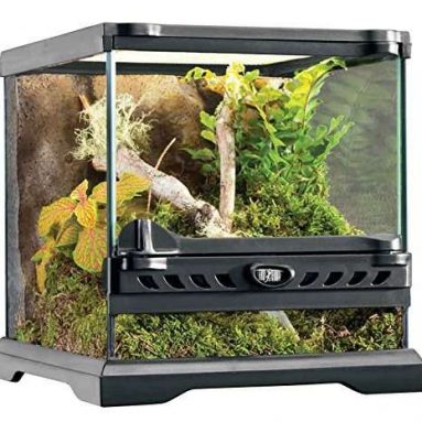 Exo Terra Nano Glass Terrarium Reptile Habitat 8 Inches