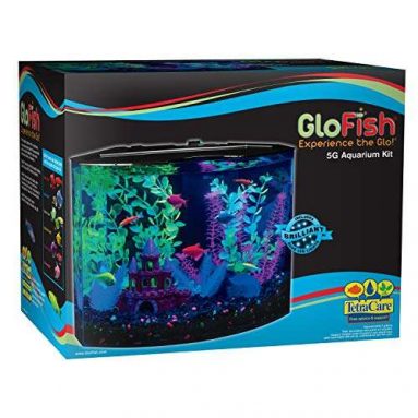 GloFish 5-Gallon Aquarium Kit with Blue LED light