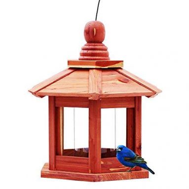 Cedar Bird Feeder Gazebo with Plastic Transparent Tube Lantern