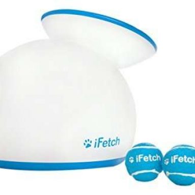 iFetch Small Interactive Ball Thrower for Dogs