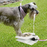 iMounTEK Hygienic Dog/Pet Geyser Water Fountain