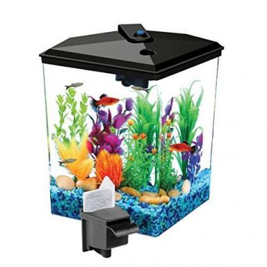 1-Gallon Betta Aquarium Kit With LED Light Power Filter