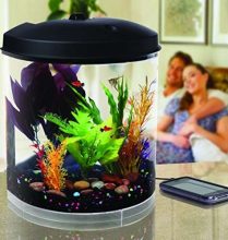 AquaTunes 3.5 Gallon Aquarium with Sleep Sound Machine