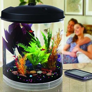 AquaTunes 3.5 Gallon Aquarium with Sleep Sound Machine