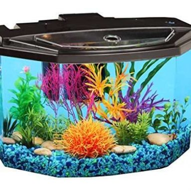 AquaView 3-Gallon Fish Tank with LED Lighting and Power Filter