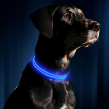 USB Rechargeable LED Dog Collar Makes Your Dog Visible