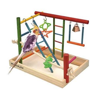 Large Pen-Plax Bird Activity Center