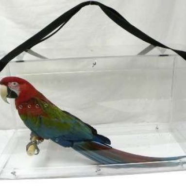 Pennzoni Display Macaw Acrylic Carriers MTC