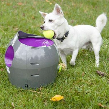 PetSafe Automatic Ball Launcher Dog Tennis Ball Throwing Machine