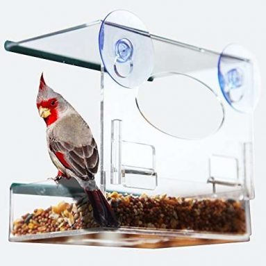 Red Earth Naturals Best Window Bird Feeder for Outside