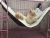 Pet Hammock by UsefulThingy for Small Pets