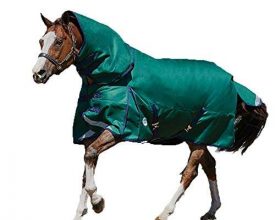 Weatherbeeta Comfitec Plus Dynamic Detach-A-Neck Heavy Blanket Hunter/Navy 60″