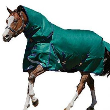 Weatherbeeta Comfitec Plus Dynamic Detach-A-Neck Heavy Blanket Hunter/Navy 60″