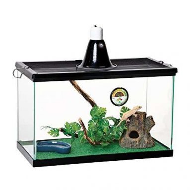 Zilla Tropical Reptile Starter Kit with Light and Heat
